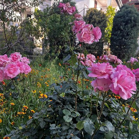 Apartments In Villa Viktoria Sutomore Dış mekan fotoğraf