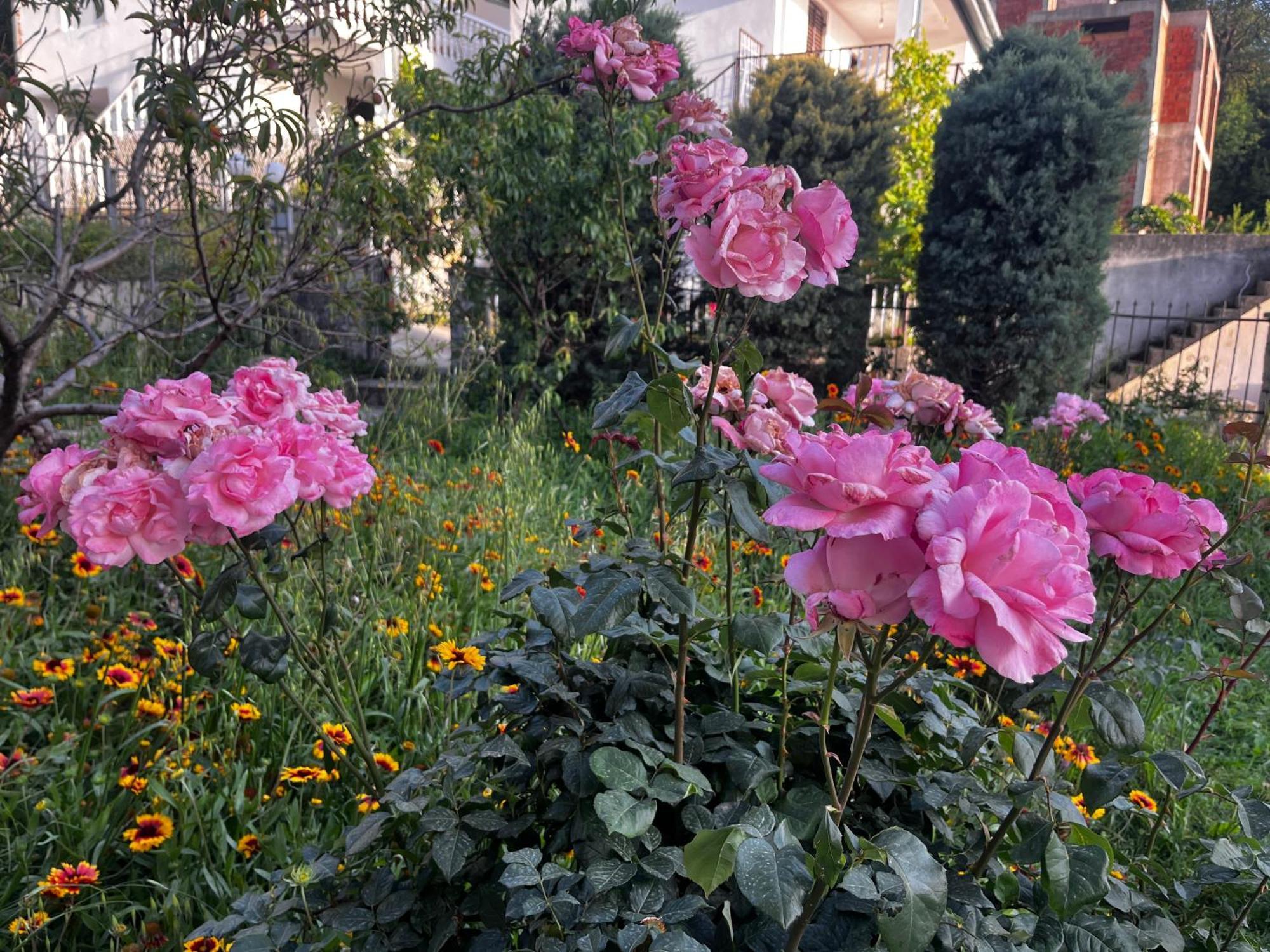Apartments In Villa Viktoria Sutomore Dış mekan fotoğraf